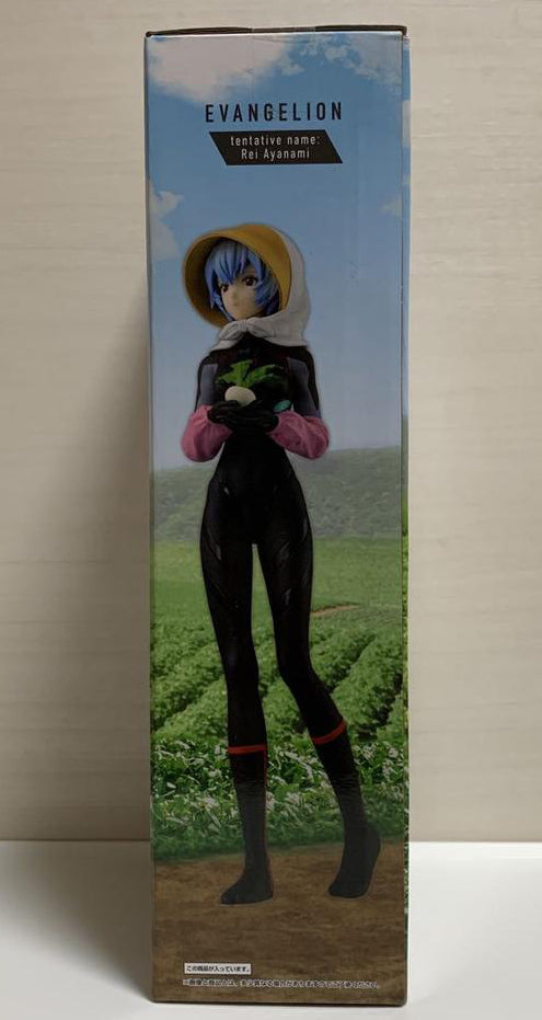 Ichiban Kuji Evangelion EVA-01 Out Of Control Tentative Name Rei Ayanami Figure Buy