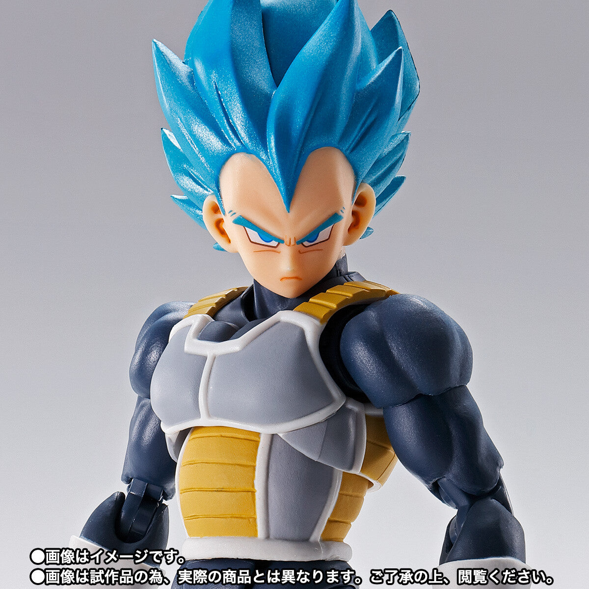 Dragon Ball Vegeta SSJ God S.H.Figuarts 15th Anniversary Ver. Exclusive Figure