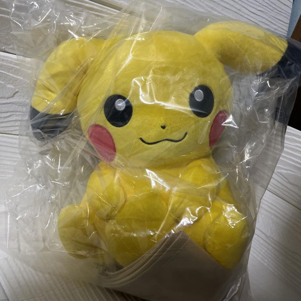 2023 Pokemon Collection Kuji HIDAMARI LIFE A Prize Pikachu Plush Buy