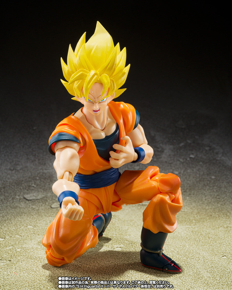 Sh figuarts hot sale dragon ball