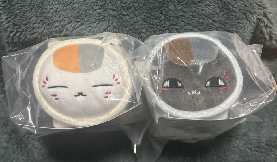 Ichiban Kuji Natsume Summer Greetings Prize C Riou Plush Mascot