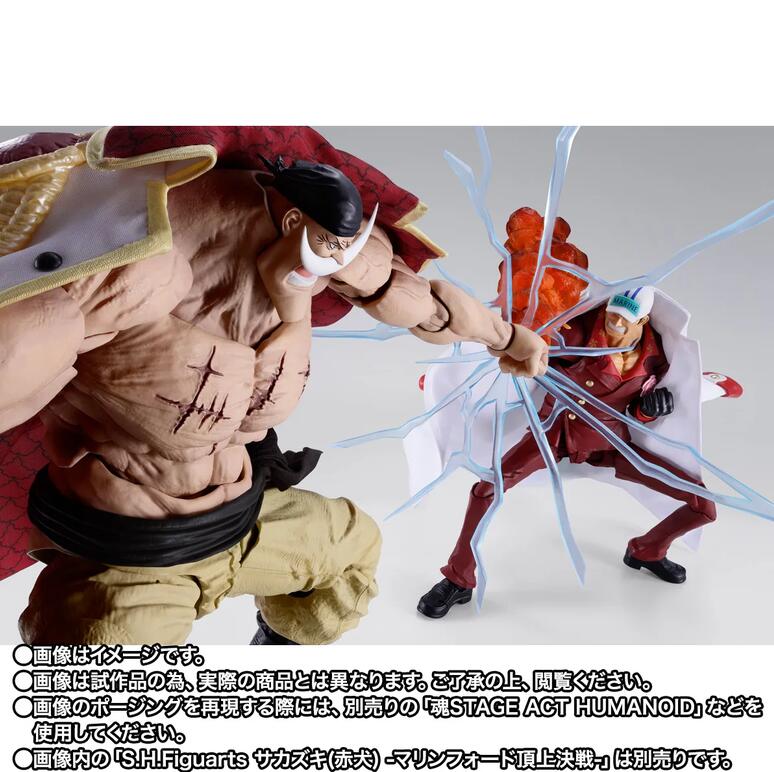 One Piece S.H.Figuarts Sakazuki Marineford Figure Buy