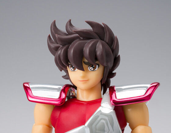 Saint Cloth Myth Pegasus Seiya Early Bronze Cloth 20th Anniversary Ver.