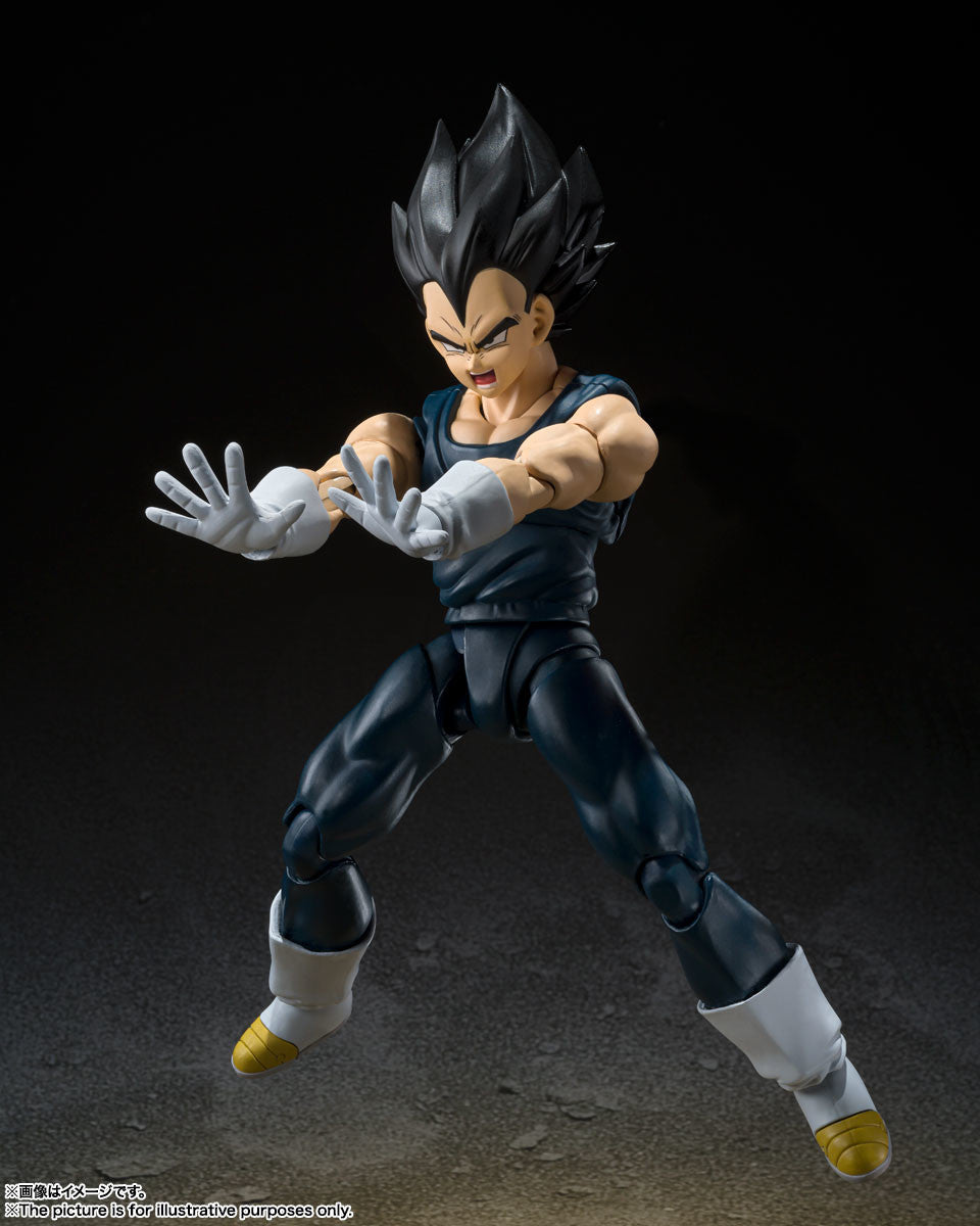 custom S.H.Figuarts Dragon Ball shf GOGETA ssj4 super saiyan 4 preorder