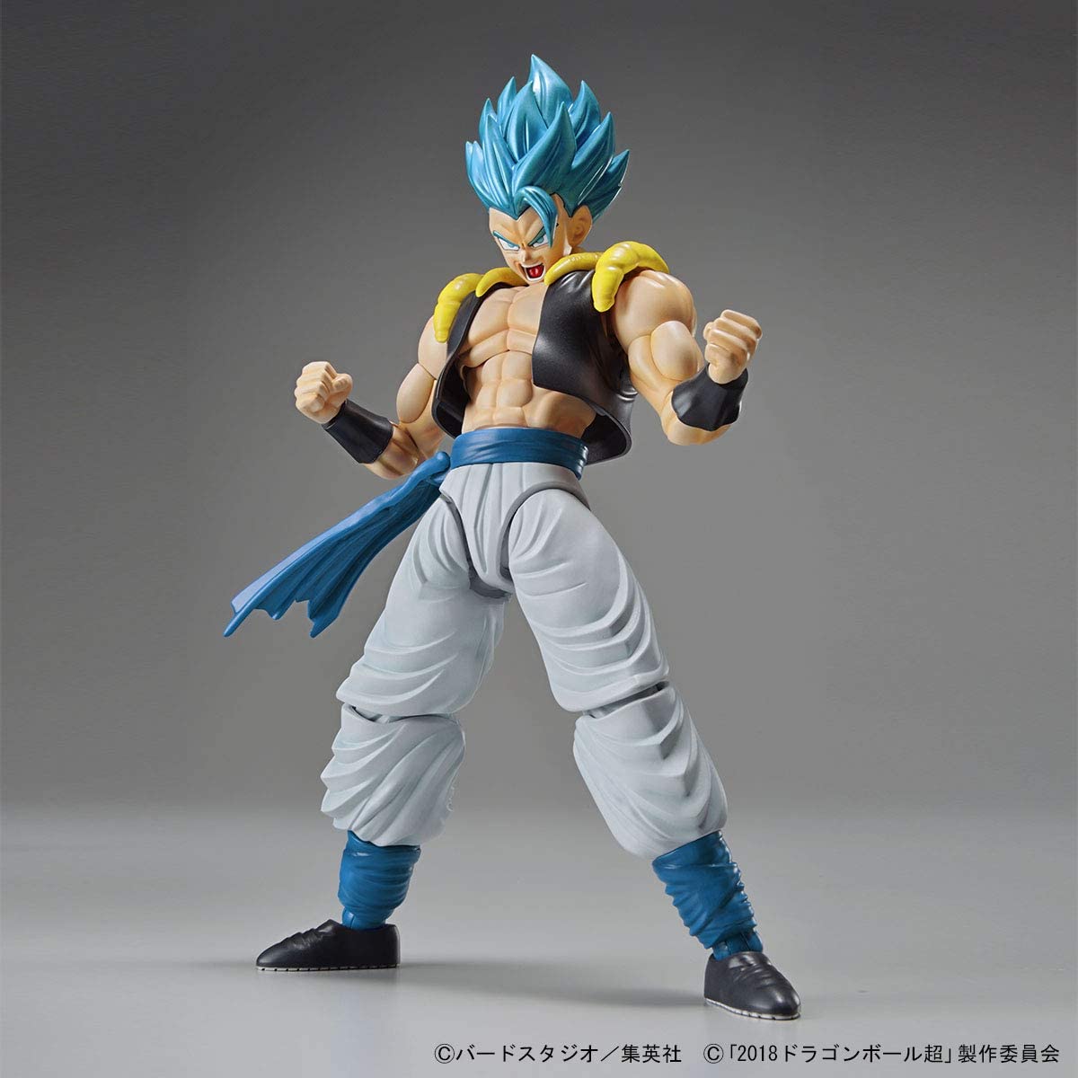 Dragon Ball Super Broly Gogeta SSGSS Figure-rise Standard Model Kit Buy