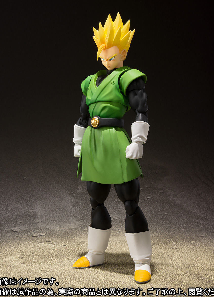 Gohan shf 2024