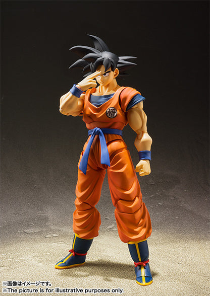 Goku SHF A Saiyan Raised On Earth