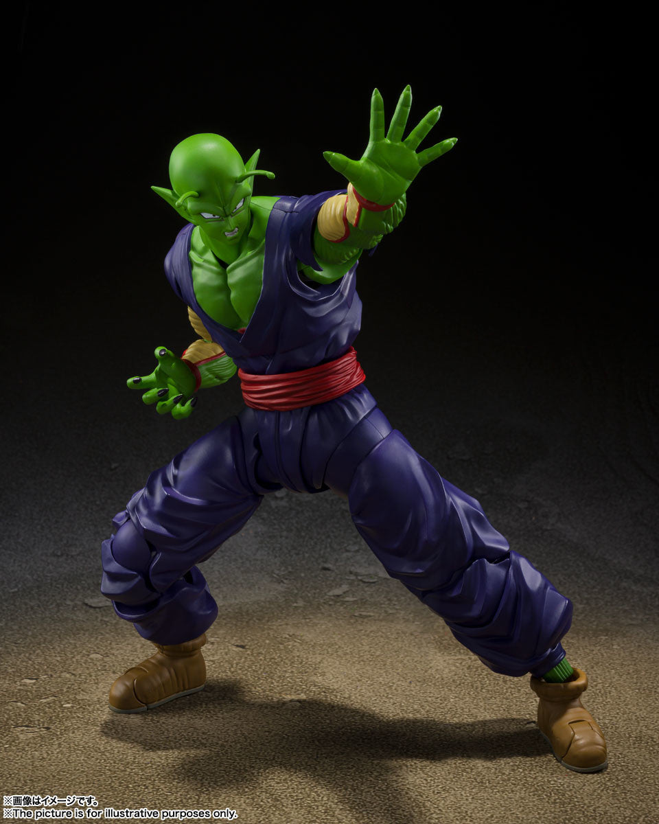 Shf piccolo hot sale