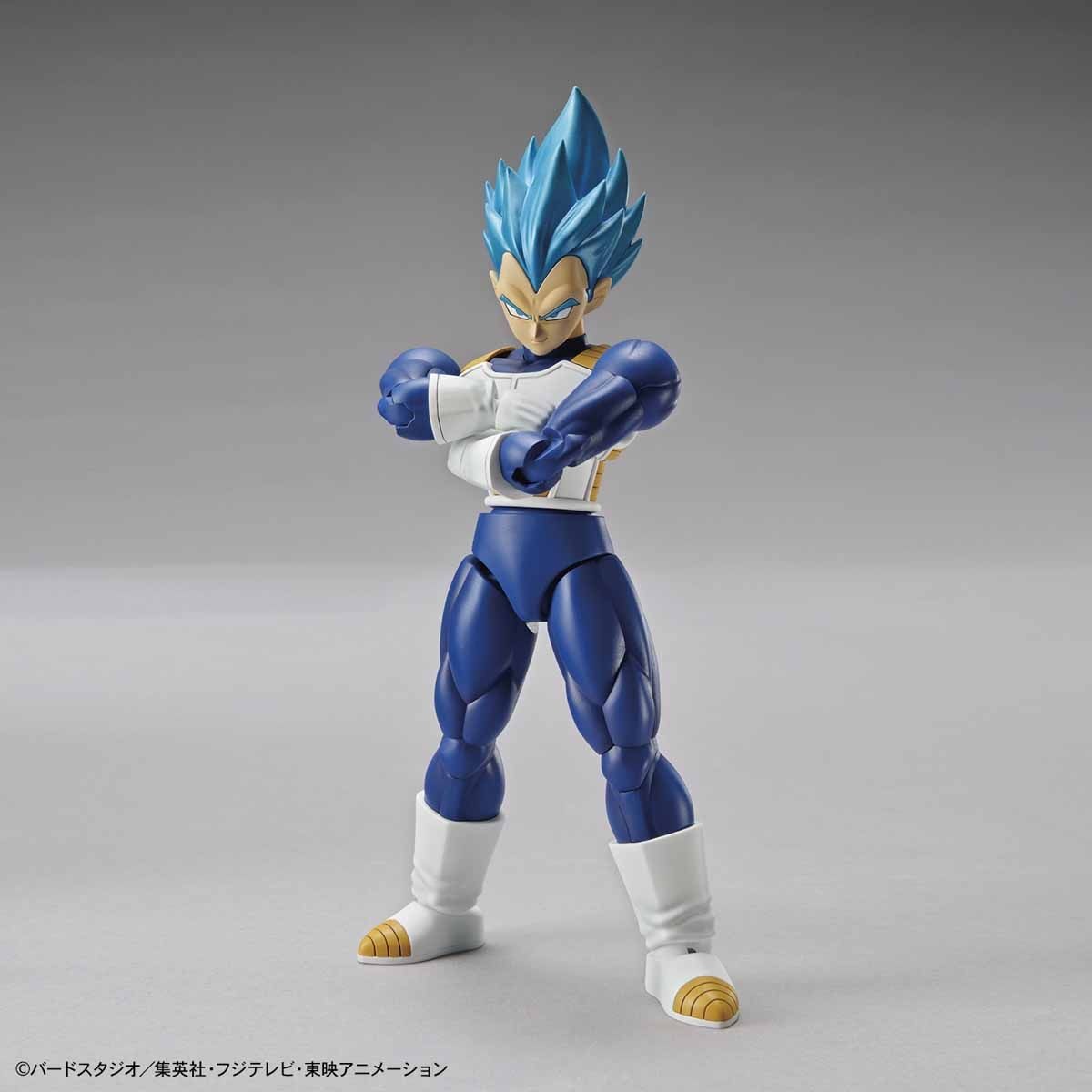 Vegeta SSGSS Figure-rise Standard 